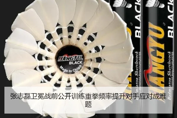 张志磊卫冕战前公开训练重拳频率提升对手应对成难题